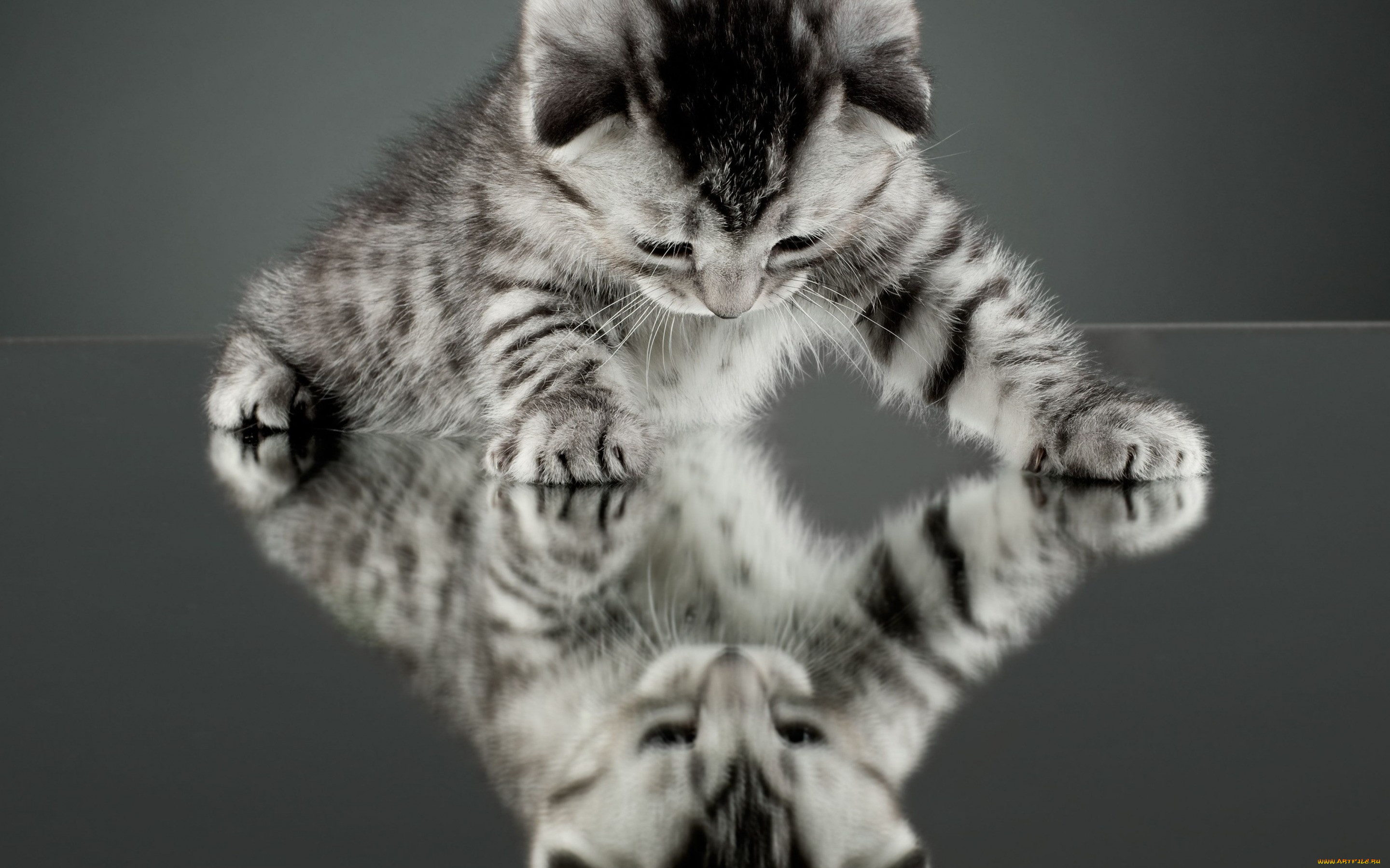 , , , , , , , , 